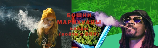 сатива Карпинск