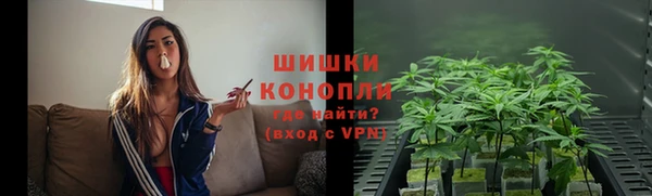 сатива Карпинск