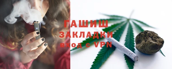 сатива Карпинск
