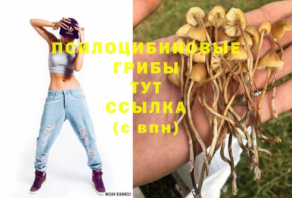 марки nbome Касимов