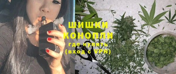 сатива Карпинск
