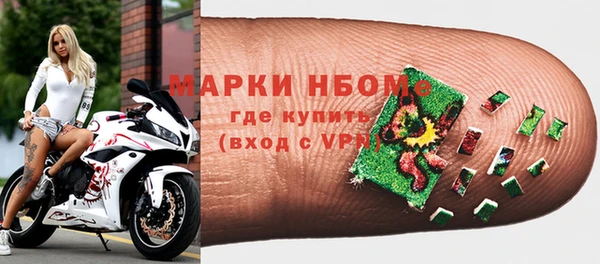 сатива Карпинск