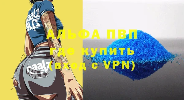 сатива Карпинск
