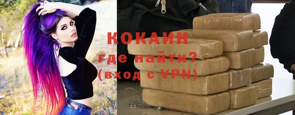 сатива Карпинск