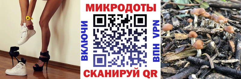 Купить где  Вольск  Псилоцибиновые грибы ЛСД 